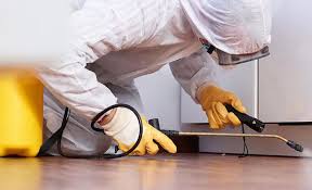 Best Pest Exclusion Services  in The Woodlands, TX